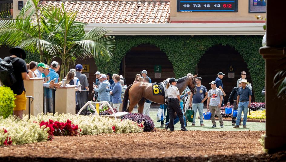 Del Mar, summer meet, Pacific Classic, Eclipse Sportswire